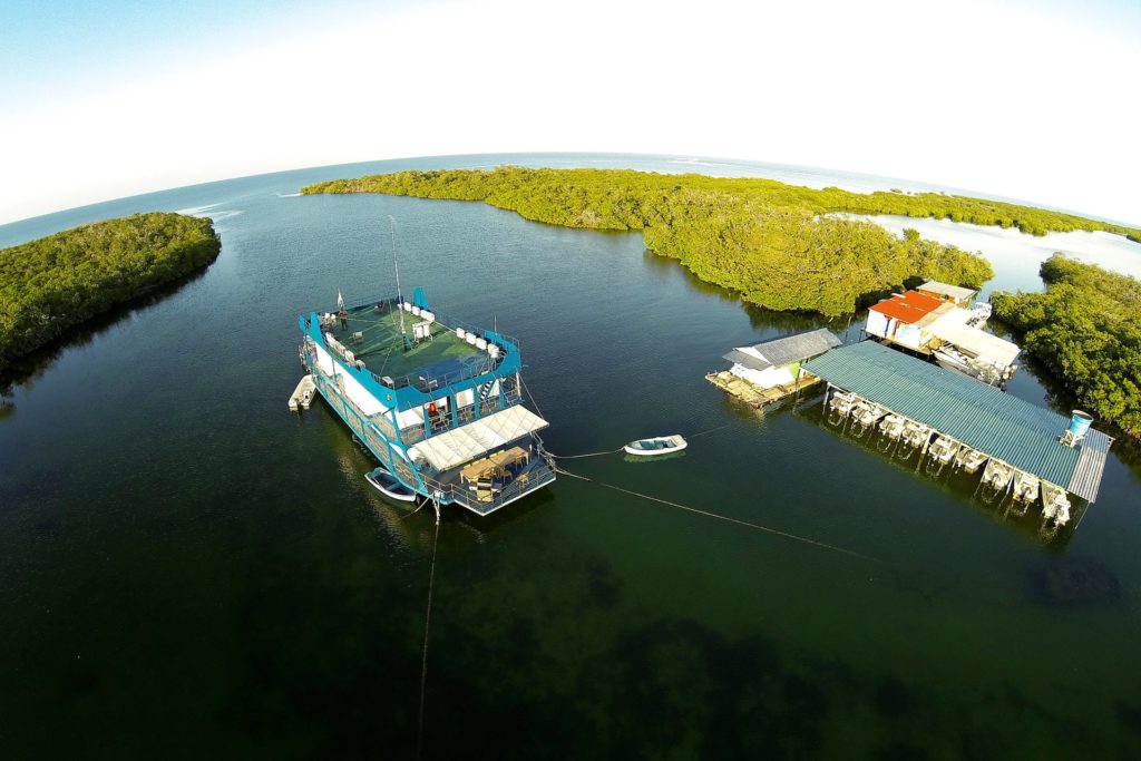 About – Blue Sanctuary