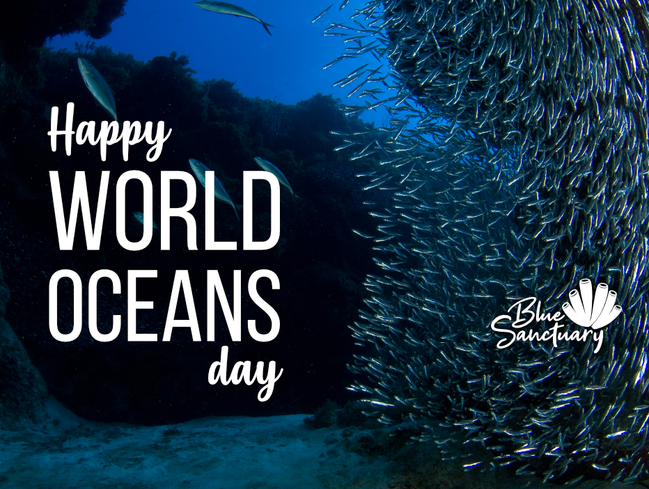 World Oceans Day Blue Sanctuary